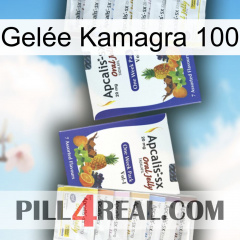 Gelée Kamagra 100 12
